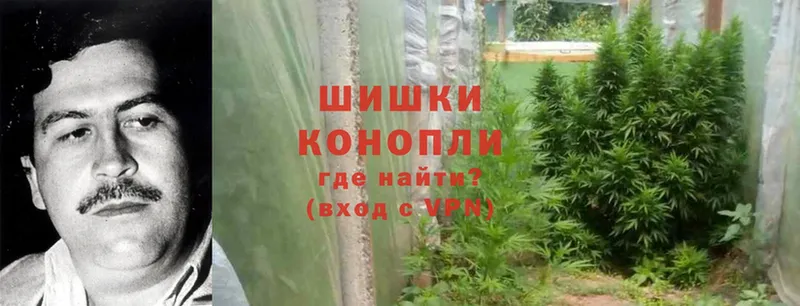 mega как войти  Карачев  Канабис OG Kush 